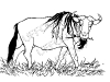 gnu