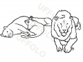 leoni