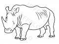 rinoceronte