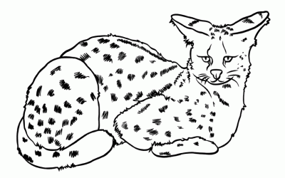 Disegni da colorare per bambini