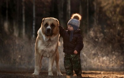 Giocare con gli animali